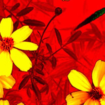 软件商城正规的ddos服务器攻击手段